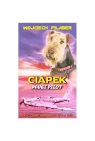 Ciapek drugi pilot