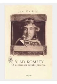 Ślad komety. O ulotności sztuki pisania