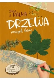 Drzewa naszych lasów. zeszyt z kalką