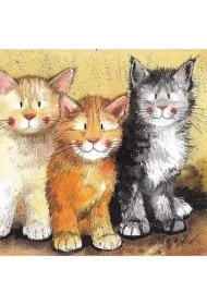 Karnet AC323 Koty Rodger, Dodger i Tinkerbell