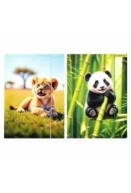 Teczka z gumką A4 Wild Animal mix