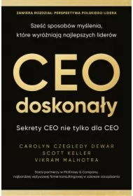 CEO doskonały. Sześć sposobów myślenia, które wyróżniają najlepszych liderów