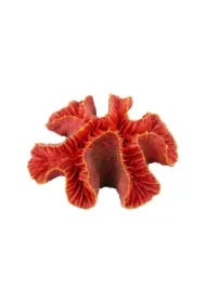Dekoracja akwarystyczna Ukwiał czerwony 12cm