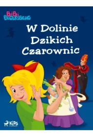 Bibi Blocksberg 1 &ndash; W Dolinie Dzikich Czarownic