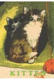 Karnet B6 z kopertą Dwa kotki