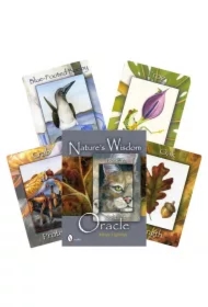 Natures Wisdom, karty do wróżenia