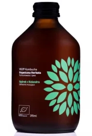 Kombucha z ogórkiem i kolendrą bezglutenowa