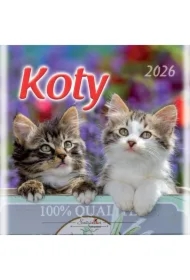 Kalendarz 2026 wieloplanszowy Koty