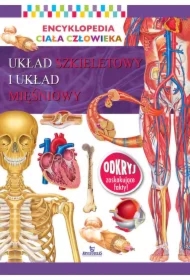 Encyklopedia ciała człowieka Układ kostny i układ mięśniowy