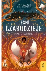 Leśni czarodzieje. Miasto tajemnic. Tom 2