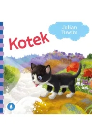 Kotek