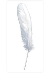 Divine Feather Oracle, karty do wróżenia