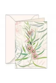 Karnet B6 + koperta 6123 Eukaliptus kamaldulski