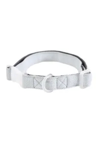 Obroża dla psa, 1, 5 x 25-40cm, szary/błękitny