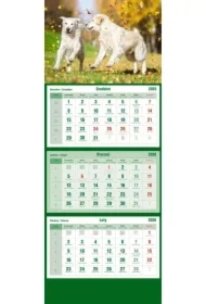 Kalendarz trójdzielny 2026 Psy