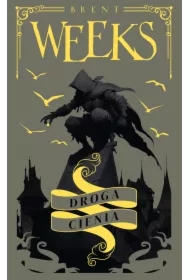 Droga Cienia. Anioł Nocy. Tom 1