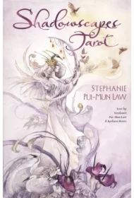 Shadowscapes Tarot, zestaw kart do wróżenia i książka