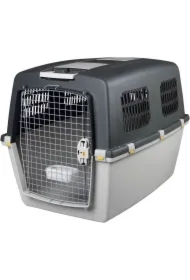 Box transportowy guliver VII