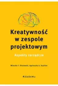 Kreatywność w zespole projektowym
