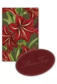 Mydełko ozdobne jabłko Gwiazda Betlejemska