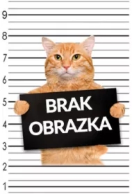 Niania elektroniczna audio z wyświetlaczem DM-1211