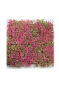 Roślina, do dekoracji akwarium, różowa, plastikowa, 25 cm x 25 cm, morski dywan