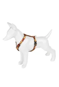 Szelki dla psa, wzór jesień, taśma, 30MM/60-100CM brązowa