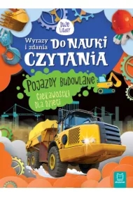 Wyrazy i zdania do nauki czytania. Pojazdy...