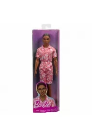Barbie Fashionistas. Ken Stylowy HYT99
