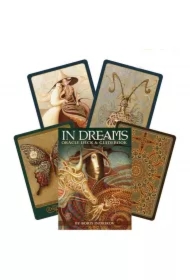 In Dreams, karty do wróżenia z podręcznikiem
