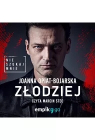 Złodziej. Nie szukaj mnie. Tom 1