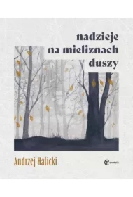 Nadzieje na mieliznach duszy