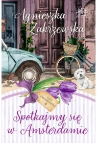 Saga amsterdamska. Tom 4. Spotkajmy się w Amsterdamie