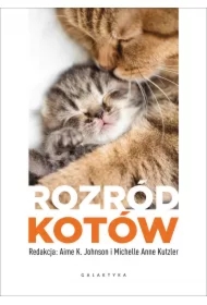 Rozród kotów