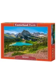 Puzzle 3000 el. Grinnell Lake Glacier