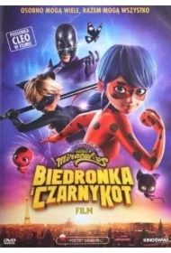 Biedronka i czarny kot DVD