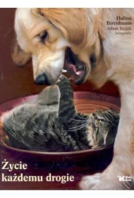 Życie każdemu drogie