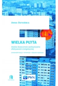 Wielka Płyta