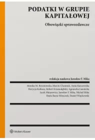 Podatki w grupie kapitałowej. Obowiązki sprawozdawcze