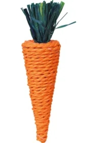 Marchewka dla królika i małych gryz