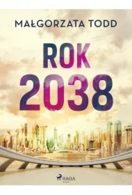 Rok 2038
