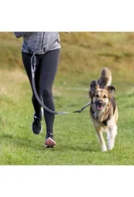 Pas biodrowy ze smyczą, 75&ndash;120 cm, czarny