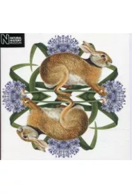 Karnet kwadrat z kopertą European Brown Hare