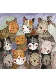 Karnet AC668 Chór kotów