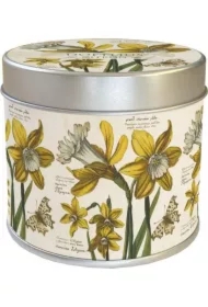 Zapachowa świeczka 236 żonkile - zapach cytrynowy