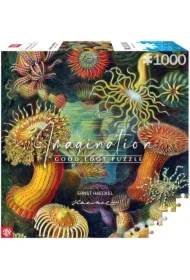Puzzle 1000 el. Ernst Haeckel: Stworzenia morskie
