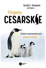 Pingwiny cesarskie
