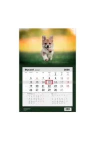 Kalendarz 2026 jednodzielny Pies Corgi HELMA
