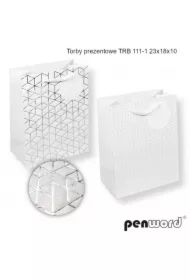 Torebka prezentowa 23x18x10cm MIX