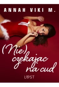 (Nie) czekając na cud &ndash; świąteczny romans erotyczny
